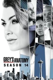 Grey's Anatomy Season 14