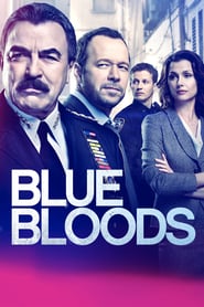 Blue Bloods Season 9