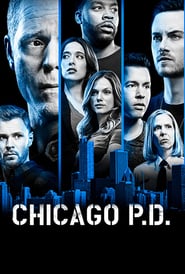 Chicago P.D. Season 6