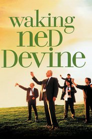 Waking Ned Devine