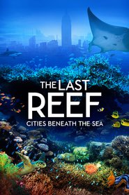 The Last Reef 3D