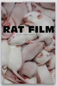 Rat Film